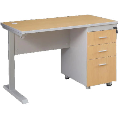 Escritorio Corporativo De Trabajo