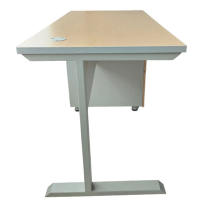 Escritorio Corporativo De Trabajo